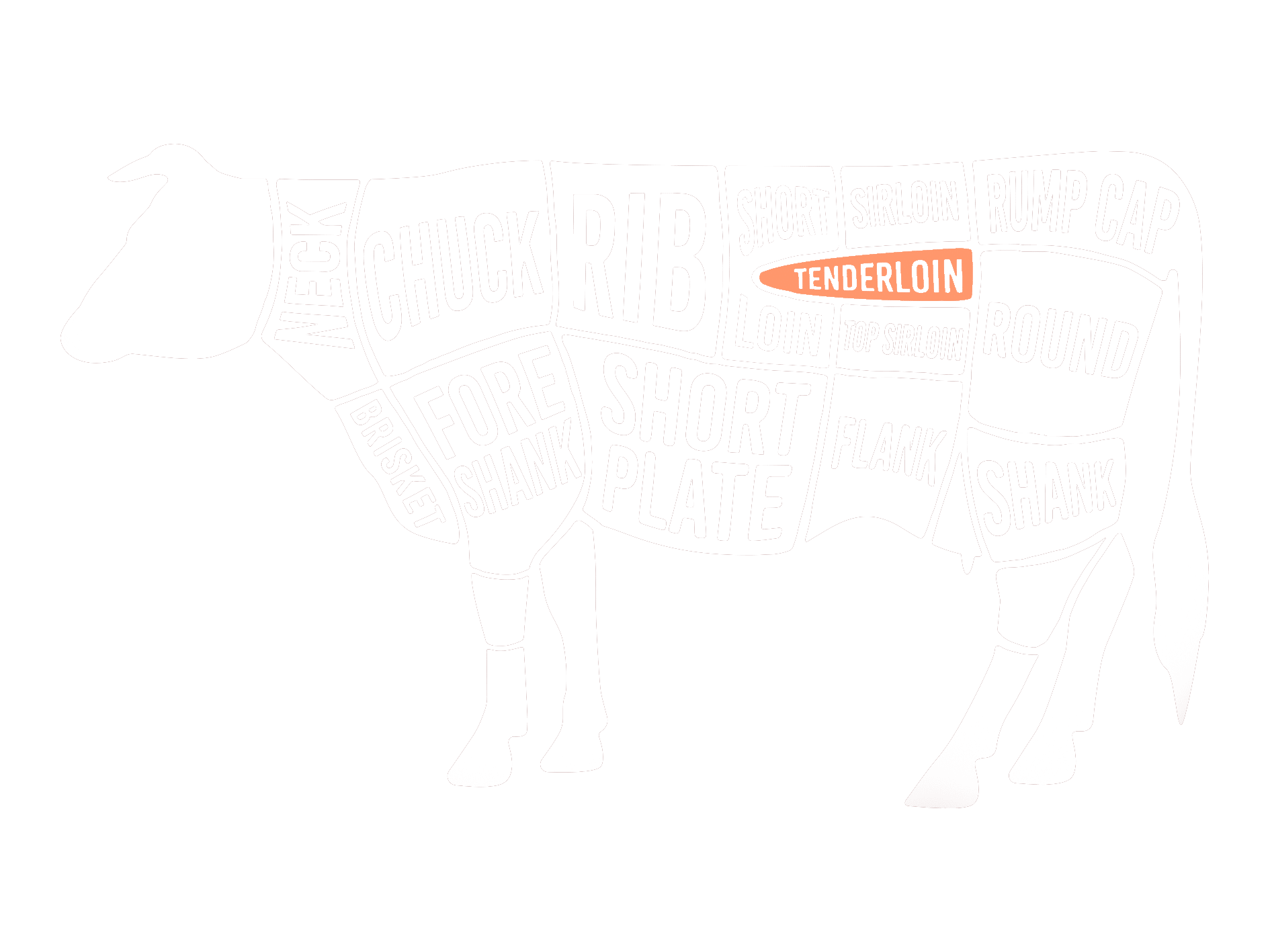 filet-beef-darstellung