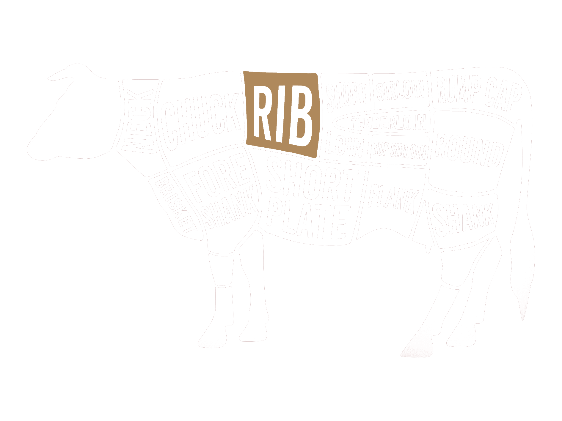 rib-beef-darstellung