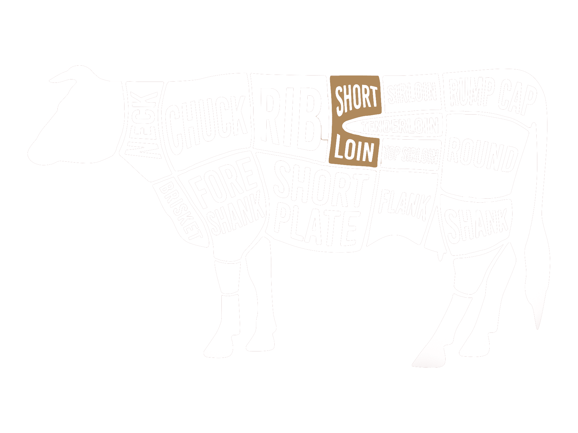 strip2-beef-darstellung